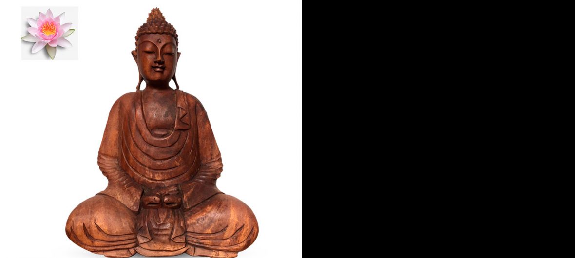 Vivi zen: le nostre proposte etiche e consapevoli